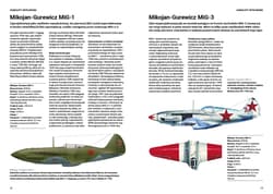 Galeria - zdjęcie nr. 4 - Samoloty ZSRR w II wojnie światowej Myśliwce • Bombowce • Wodnosamoloty