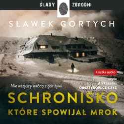 Schronisko, które spowijał mrok - audiobook - Sławek Gortych