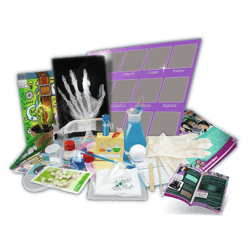 Galeria - zdjęcie nr. 2 - Science 4 You Kobiety w Świecie Nauki 61937
