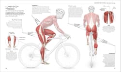 Galeria - zdjęcie nr. 5 - Science of Cycling