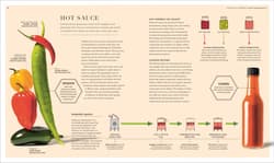 Galeria - zdjęcie nr. 5 - Science of Fermentation