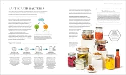 Galeria - zdjęcie nr. 3 - Science of Fermentation