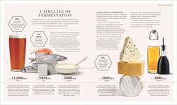 Galeria - zdjęcie nr. 2 - Science of Fermentation