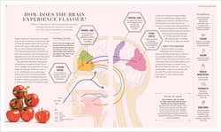 Galeria - zdjęcie nr. 5 - Science of Flavour