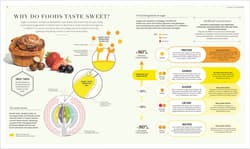 Galeria - zdjęcie nr. 3 - Science of Flavour