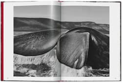 Galeria - zdjęcie nr. 3 - Sebastiao Salgado. Genesis wer. angielska