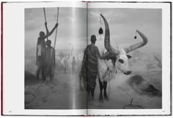 Galeria - zdjęcie nr. 4 - Sebastiao Salgado. Genesis wer. angielska