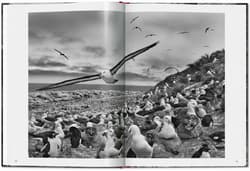 Galeria - zdjęcie nr. 5 - Sebastiao Salgado. Genesis wer. angielska