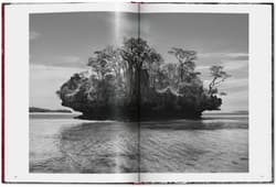 Galeria - zdjęcie nr. 3 - Sebastiao Salgado. Genesis wer. angielska