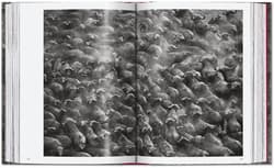 Galeria - zdjęcie nr. 2 - Sebastião Salgado. Genesis wer. angielska