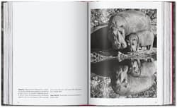 Galeria - zdjęcie nr. 5 - Sebastião Salgado. Genesis wer. angielska