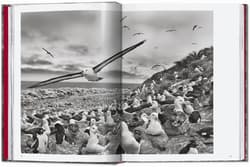 Galeria - zdjęcie nr. 3 - Sebastião Salgado. Genesis wer. angielska