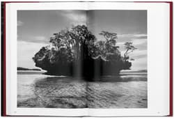 Galeria - zdjęcie nr. 3 - Sebastiao Salgado. Genesis wer. angielska