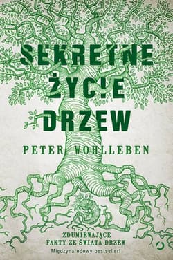 Galeria - zdjęcie nr. 1 - Sekretne życie drzew