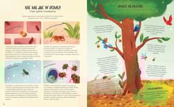 Galeria - zdjęcie nr. 2 - Sekretne życie owadów