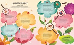 Galeria - zdjęcie nr. 4 - Sekretne życie owadów