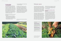 Galeria - zdjęcie nr. 2 - Sekrety ogrodu siostry Christy Dlaczego rzodkiewki kochają marchewki Zakonny poradnik ogrodniczy.