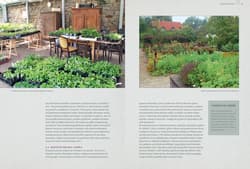 Galeria - zdjęcie nr. 4 - Sekrety ogrodu siostry Christy Dlaczego rzodkiewki kochają marchewki Zakonny poradnik ogrodniczy.