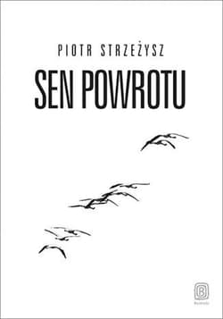 Sen powrotu - ebook - Piotr Strzeżysz