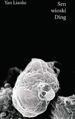 Sen wioski Ding - Yan Lianke