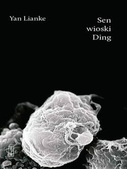 Galeria - zdjęcie nr. 1 - Sen wioski Ding