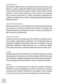 Galeria - zdjęcie nr. 4 - Sensorycznie wszystko gra! w.2025