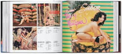 Galeria - zdjęcie nr. 2 - Sexy Record Covers wer. angielska
