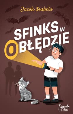 Sfinks w (o)błędzie