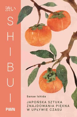 Shibui. Japońska sztuka znajdowania piękna w upływie czasu - Ishida Sanae