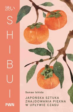 Shibui. Japońska sztuka znajdowania piękna w upływie czasu - Ishida Sanae