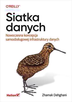 Siatka danych. Nowoczesna koncepcja samoobsługowej infrastruktury danych - Zhamak Dehghani