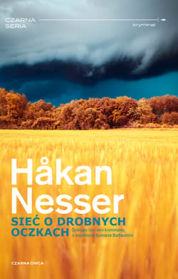 Sieć o drobnych oczkach - ebook - Hakan Nesser