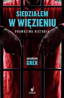 Siedziałem w więzieniu. Prawdziwa historia - ebook - Grek pseudonim
