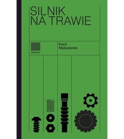 Silnik na trawie - Karol Maliszewski