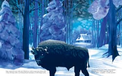 Galeria - zdjęcie nr. 3 - Simona