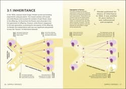 Galeria - zdjęcie nr. 5 - Simply Genetics