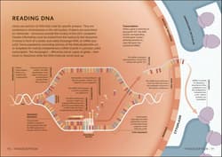 Galeria - zdjęcie nr. 4 - Simply Genetics