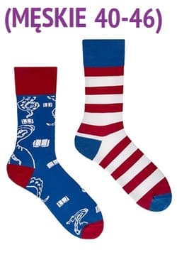 Skarpetki Książkożercy (męskie 40-46)