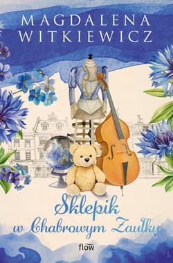 Sklepik w Chabrowym Zaułku - Magdalena Witkiewicz