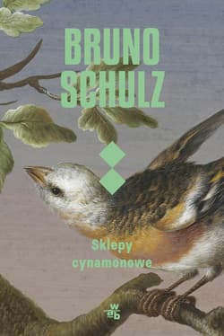 Sklepy cynamonowe - ebook - Bruno Schulz