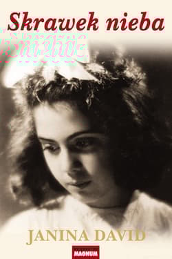 Skrawek nieba - Janina David