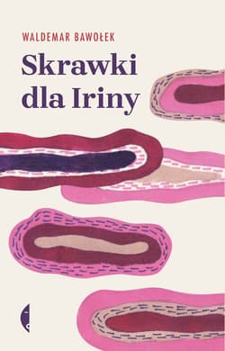 Skrawki dla Iriny - ebook - Waldemar Bawołek