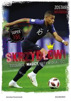 Skrzydłowi Technicy magicy indywidualiści - Jarosław Kaczmarek