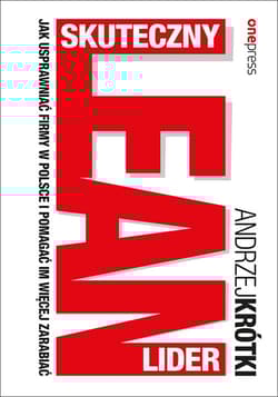 Skuteczny lider lean Jak usprawniać firmy w Polsce i pomagać im więcej zarabiać - Andrzej Krótki
