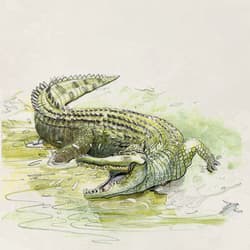 Galeria - zdjęcie nr. 2 - Śladami Darwina