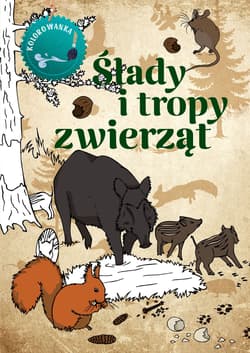 Ślady i tropy zwierząt. Kolorowanka - Katarzyna Kopiec-Sekieta