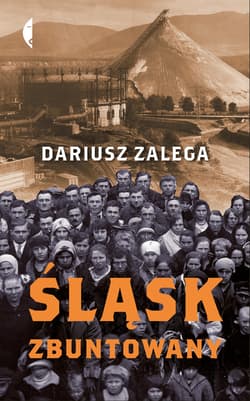 Śląsk zbuntowany - ebook - Dariusz Zalega