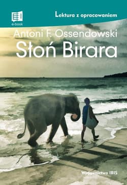 Słoń Birara Lektura z opracowaniem