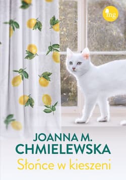 Słońce w kieszeni - Joanna M. Chmielewska