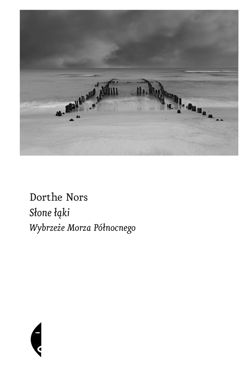 Słone łąki - ebook - Dorthe Nors